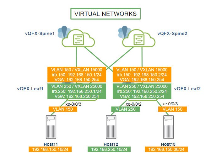 ipfabric-evpn-vxlan-virtual-networks